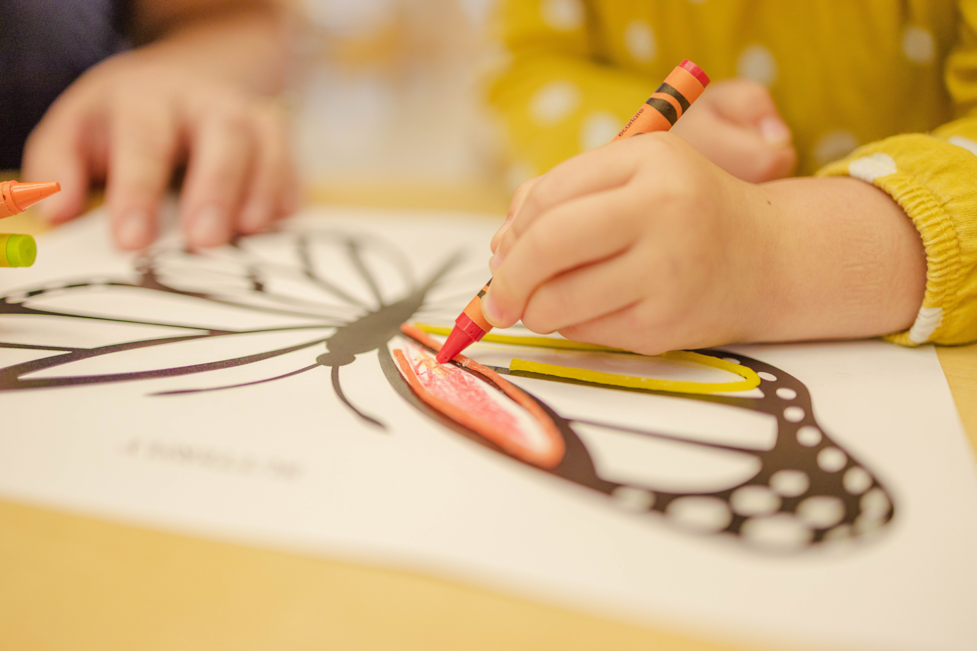 Art based preschools preschool children. Image by Lucas Alexander on Unsplash.